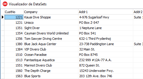 Formulário criado pelo wizard para visualização de dados do DataSet